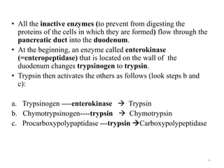 • All the inactive enzymes (to prevent from digesting the
proteins of the cells in which they are formed) flow through the
pancreatic duct into the duodenum.
• At the beginning, an enzyme called enterokinase
(=enteropeptidase) that is located on the wall of the
duodenum changes trypsinogen to trypsin.
• Trypsin then activates the others as follows (look steps b and
c):
a. Trypsinogen ----enterokinase  Trypsin
b. Chymotrypsinogen----trypsin  Chymotrypsin
c. Procarboxypolypaptidase ---trypsin Carboxypolypeptidase
35
 