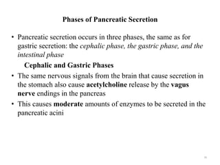 Phases of Pancreatic Secretion
• Pancreatic secretion occurs in three phases, the same as for
gastric secretion: the cephalic phase, the gastric phase, and the
intestinal phase
Cephalic and Gastric Phases
• The same nervous signals from the brain that cause secretion in
the stomach also cause acetylcholine release by the vagus
nerve endings in the pancreas
• This causes moderate amounts of enzymes to be secreted in the
pancreatic acini
39
 