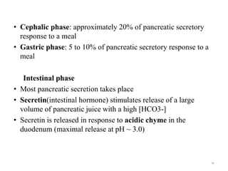• Cephalic phase: approximately 20% of pancreatic secretory
response to a meal
• Gastric phase: 5 to 10% of pancreatic secretory response to a
meal
Intestinal phase
• Most pancreatic secretion takes place
• Secretin(intestinal hormone) stimulates release of a large
volume of pancreatic juice with a high [HCO3-]
• Secretin is released in response to acidic chyme in the
duodenum (maximal release at pH ~ 3.0)
40
 