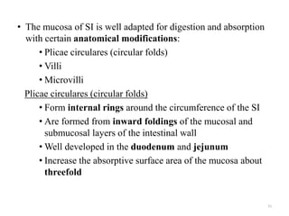 • The mucosa of SI is well adapted for digestion and absorption
with certain anatomical modifications:
• Plicae circulares (circular folds)
• Villi
• Microvilli
Plicae circulares (circular folds)
• Form internal rings around the circumference of the SI
• Are formed from inward foldings of the mucosal and
submucosal layers of the intestinal wall
• Well developed in the duodenum and jejunum
• Increase the absorptive surface area of the mucosa about
threefold
51
 