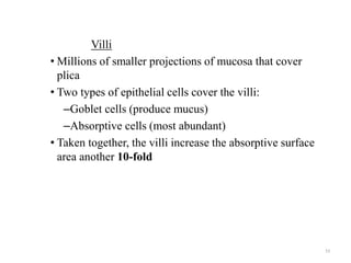 Villi
• Millions of smaller projections of mucosa that cover
plica
• Two types of epithelial cells cover the villi:
–Goblet cells (produce mucus)
–Absorptive cells (most abundant)
• Taken together, the villi increase the absorptive surface
area another 10-fold
53
 