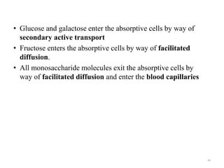 • Glucose and galactose enter the absorptive cells by way of
secondary active transport
• Fructose enters the absorptive cells by way of facilitated
diffusion.
• All monosaccharide molecules exit the absorptive cells by
way of facilitated diffusion and enter the blood capillaries
60
 
