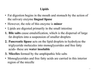 Lipids
• Fat digestion begins in the mouth and stomach by the action of
the salivary enzyme lingual lipase
• However, the role of this enzyme is minor
• Lipids are digested primarily in the small intestine
1. Bile salts cause emulsification, which is the dispersal of large
fat droplets into a suspension of smaller droplets
2. Pancreatic lipase acts on the lipid droplets to hydrolyze the
triglyceride molecules into monoglycerides and free fatty
acids- these are water insoluble
3. Micelles formed by the amphipathic bile salts
• Monoglycerides and free fatty acids are carried in this interior
region of the micelle
67
 