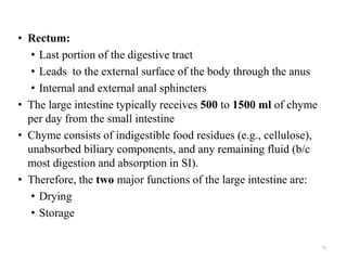 • Rectum:
• Last portion of the digestive tract
• Leads to the external surface of the body through the anus
• Internal and external anal sphincters
• The large intestine typically receives 500 to 1500 ml of chyme
per day from the small intestine
• Chyme consists of indigestible food residues (e.g., cellulose),
unabsorbed biliary components, and any remaining fluid (b/c
most digestion and absorption in SI).
• Therefore, the two major functions of the large intestine are:
• Drying
• Storage
77
 