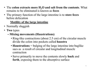 • The colon extracts more H2O and salt from the contents. What
remains to be eliminated is known as feces
• The primary function of the large intestine is to store feces
before defecation
Motility of the large intestine
• Normally sluggish
• Two types
–Mixing movements (Haustrations)
• Ring-like contractions (about 2.5 cm) of the circular muscle
divide the colon into pockets called haustra
• Haustrations = bulging of the large intestine into baglike
sacs as a result of circular and longitudinal muscle
contraction
• Serve primarily to move the contents slowly back and
forth, exposing them to the absorptive surface
78
 