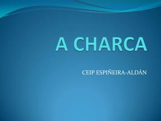 A CHARCA CEIP ESPIÑEIRA-ALDÁN 