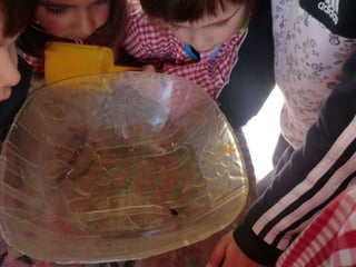 A charca (11.3.2011)