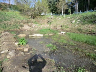 A charca (11.3.2011)