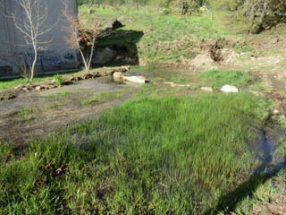 A charca (11.3.2011)