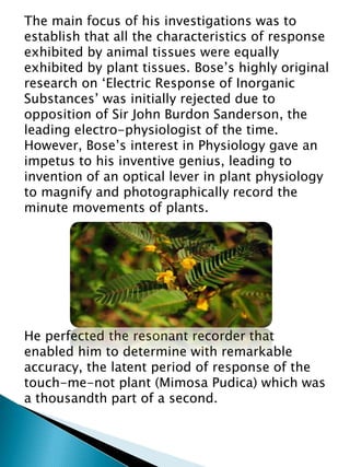 The main focus of his investigations was to
establish that all the characteristics of response
exhibited by animal tissues were equally
exhibited by plant tissues. Bose’s highly original
research on ‘Electric Response of Inorganic
Substances’ was initially rejected due to
opposition of Sir John Burdon Sanderson, the
leading electro-physiologist of the time.
However, Bose’s interest in Physiology gave an
impetus to his inventive genius, leading to
invention of an optical lever in plant physiology
to magnify and photographically record the
minute movements of plants.
He perfected the resonant recorder that
enabled him to determine with remarkable
accuracy, the latent period of response of the
touch-me-not plant (Mimosa Pudica) which was
a thousandth part of a second.
 