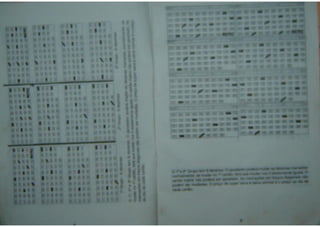 A Chave Dos Milhões - Taufic Darhal.pdf