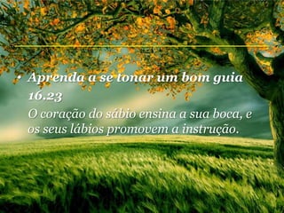 • Aprenda a se tonar um bom guia
  16.23
  O coração do sábio ensina a sua boca, e
  os seus lábios promovem a instrução.
 