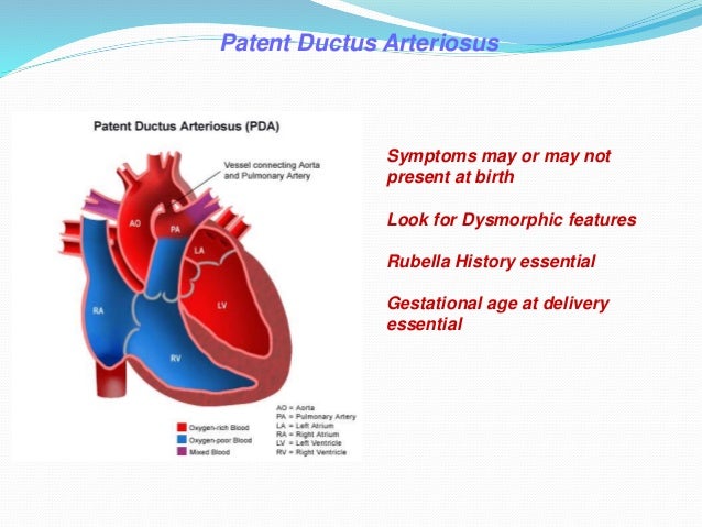PDA - Dr. D. Gunasekaran