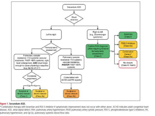 ACHD guidelines part I | PPTX