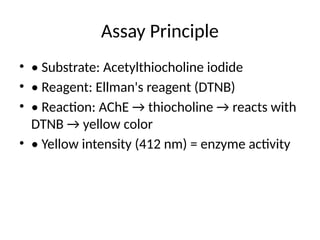 AChE_Assay_ an IT_Presentation slide .pptx