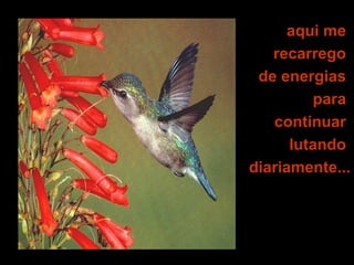 aqui me
recarrego
de energias
para
continuar
lutando
diariamente...