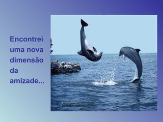 Encontrei
uma nova
dimensão
da
amizade...