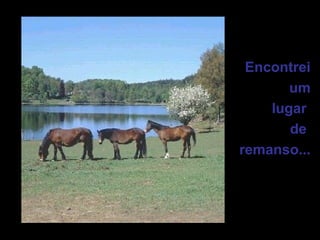 Encontrei
um
lugar
de
remanso...
 