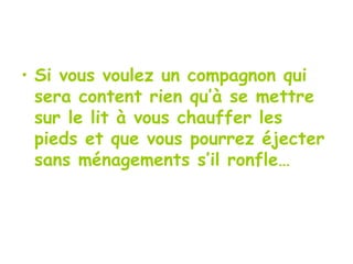 Si vous voulez un compagnon qui sera content rien qu’à se mettre sur le lit à vous chauffer les pieds et que vous pourrez éjecter sans ménagements s’il ronfle… 