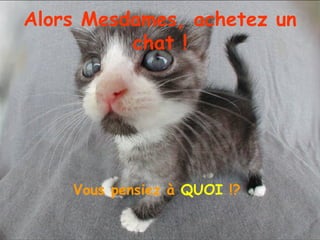 Alors Mesdames, achetez un chat ! Vous pensiez à  QUOI  !?  