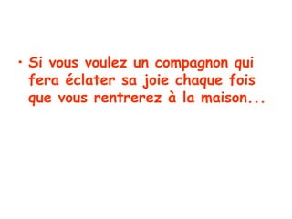 Si vous voulez un compagnon qui fera éclater sa joie chaque fois que vous rentrerez à la maison...   