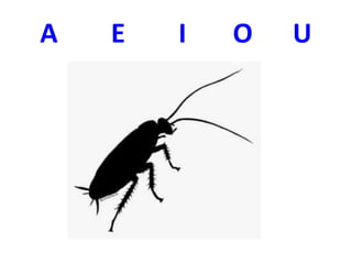 A E I O U
 