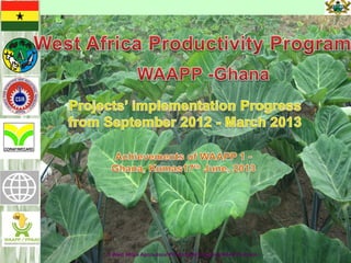 MOAP
© West Africa Agricultural Productivity Program (WAAPP)-Ghana
0
 