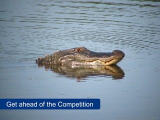 Get ahead of the Competition
                               www.flickr.com/photos/rogersmith/489158358
 