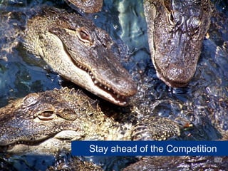 Stay ahead of the Competition
               www.flickr.com/photos/8363028@N08/2665809719
 