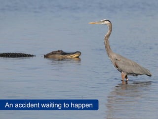 An accident waiting to happen
                                www.flickr.com/photos/matthewpaulson/5959345541
 