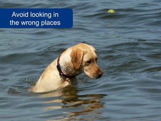 Avoid looking in
the wrong places




                    www.flickr.com/photos/sea-turtle/3568062665
 