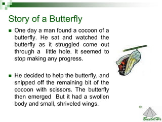 14
 One day a man found a cocoon of a
butterfly. He sat and watched the
butterfly as it struggled come out
through a litt...