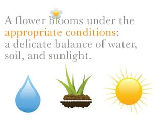 A flower blooms under the
appropriate conditions:
a delicate balance of water,
soil, and sunlight.
 