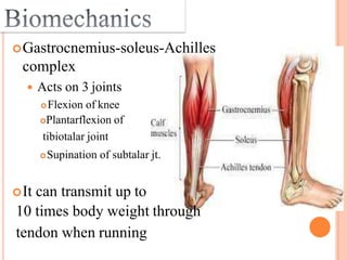 Achilis tendon rupture | PPTX