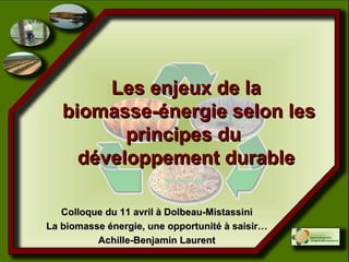 Les enjeux de la
   biomasse-énergie selon les
          principes du
     développement durable

   Colloque du 11 avril à Dolbeau-Mistassini
La biomasse énergie, une opportunité à saisir…
          Achille-Benjamin Laurent
 