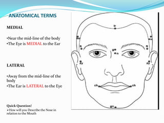 ANATOMICAL TERMS
MEDIAL
•Near the mid-line of the body
•The Eye is MEDIAL to the Ear
LATERAL
•Away from the mid-line of the
body
•The Ear is LATERAL to the Eye
Quick Question!
How will you Describe the Nose in
relation to the Mouth
 