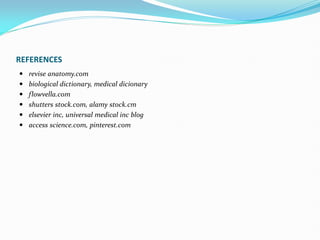 REFERENCES
 revise anatomy.com
 biological dictionary, medical dicionary
 flowvella.com
 shutters stock.com, alamy stock.cm
 elsevier inc, universal medical inc blog
 access science.com, pinterest.com
 