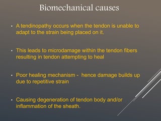 Biomechanical causes
• A tendinopathy occurs when the tendon is unable to
adapt to the strain being placed on it.
• This leads to microdamage within the tendon fibers
resulting in tendon attempting to heal
• Poor healing mechanism - hence damage builds up
due to repetitive strain
• Causing degeneration of tendon body and/or
inflammation of the sheath.
 