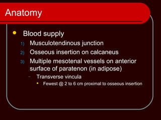 Anatomy
 Blood supply
1) Musculotendinous junction
2) Osseous insertion on calcaneus
3) Multiple mesotenal vessels on anterior
surface of paratenon (in adipose)
– Transverse vincula
 Fewest @ 2 to 6 cm proximal to osseous insertion
 