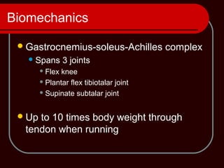 Biomechanics
Gastrocnemius-soleus-Achilles complex
Spans 3 joints
 Flex knee
 Plantar flex tibiotalar joint
 Supinate subtalar joint
Up to 10 times body weight through
tendon when running
 