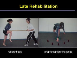 resisted gait proprioception challenge Late Rehabilitation 
