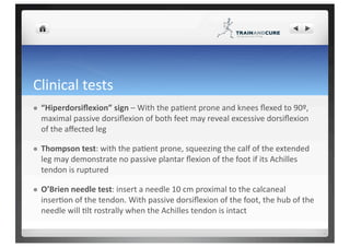 Achilles tendon rupture | PDF