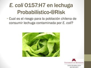 Arsénico en vegetales de hoja:
Riesgo químico
• Usaremos iRISK-FDA para estimar el riesgo de
la presencia de arsénico en l...