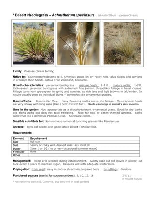 * Desert Needlegrass – Achnatherum speciosum

(ak-nath-EER-um spee-see-OH-sum)

Family: Poaceae (Grass Family)
Native to: Southwestern deserts to S. America; grows on dry rocky hills, talus slopes and canyons
in Creosote Bush Scrub, Joshua Tree Woodland, Chaparral.

Growth characteristics: perennial bunchgrass

mature height: 1-2 ft.
mature width: 1-2 ft.
Cool-season perennial bunchgrass with extremely fine (almost threadlike) foliage in basal clumps.
Foliage turns from gray-green in spring and summer, to rich tans and light browns in fall/winter. In
nature usually grow as individual plants – somewhat like ornamental grasses.
Blooms Apr-May. Many flowering stalks above the foliage. Flowers/seed heads
are very showy with long awns (like a bent, twisted tail). Seeds can lodge in animal’s ears, mouths.

Blooms/fruits:

Uses in the garden: Most appropriate as a drought-tolerant ornamental grass. Good for dry banks
and along paths but does not take trampling.
Nice for rock or desert-themed gardens.
somewhat like a miniature Pampas Grass. Seeds are edible.

Looks

Sensible substitute for: Non-native ornamental bunching grasses like Pennisetum
Attracts: Birds eat seeds; also good native Desert Tortoise food.
Requirements:
Element
Sun
Soil
Water
Fertilizer
Other

Requirement

Full sun
Sandy or rocky well-drained soils; any local pH
Zone 1 or 1-2 (no or very occasional summer water)
none

Keep area weeded during establishment. Gently rake out old leaves in winter; cut
back every 3 years to maintain vigor. Reseeds well with adequate winter rains.

Management:

Propagation: from seed: easy in pots or directly in prepared beds
Plant/seed sources (see list for source numbers): 6, 10, 13, 16

by cuttings: divisions
2/6/11
© Project SOUND

* not native to coastal S. California, but does well in local gardens

 