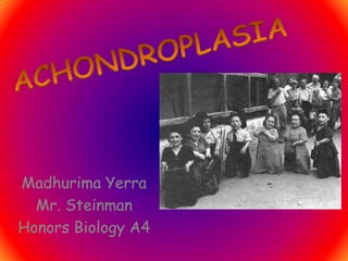ACHONDROPLASIA Madhurima Yerra Mr. Steinman Honors Biology A4 