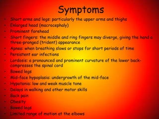 Symptoms Short arms and legs: particularly the upper arms and thighsEnlarged head (macrocephaly) Prominent foreheadShort fingers: the middle and ring fingers may diverge, giving the hand a three-pronged (trident) appearanceApnea: when breathing slows or stops for short periods of timePersistent ear infections Lordosis: a pronounced and prominent curvature of the lower back- compresses the spinal cordBowed legsMid-face hypoplasia: undergrowth of the mid-faceHypotonia: low and weak muscle toneDelays in walking and other motor skills Back pain  ObesityBowed legsLimited range of motion at the elbows