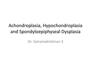 Achondroplasia, Hypochondroplasia
and Spondyloepiphyseal Dysplasia
Dr. Sairamakrishnan S
 