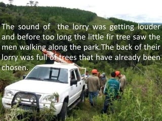 The sound of  the lorry was getting louder and before too long the little fir tree saw the men walking along the park.The back of their lorry was full of trees that have already been chosen.  