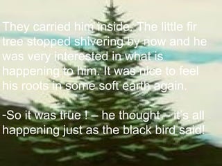 They carried him inside. The little fir  tree stopped shivering by now and he  was very interested in what is  happening to him. It was nice to feel  his roots in some soft earth again.  So it was true ! – he thought – it’s all  happening just as the black bird said! 