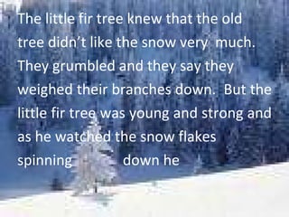 The little fir tree knew that the old  tree didn’t like the snow very  much.  They grumbled and they say they  weighed their branches down.  But the  little fir tree was young and strong and  as he watched the snow flakes  spinning  down he  